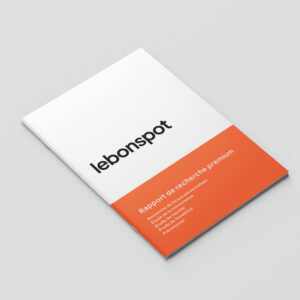 Rapport-de-recherche-LeBonSpot-Premium