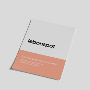 Rapport-de-recherche-LeBonSpot-Standard